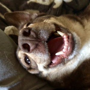 Meet your Posher, Thomas